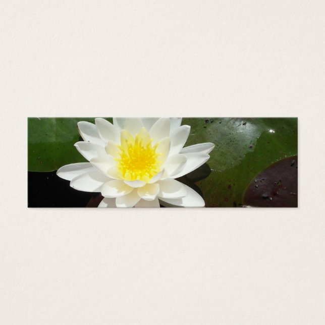 Signet de Lys d'eau (Devant)