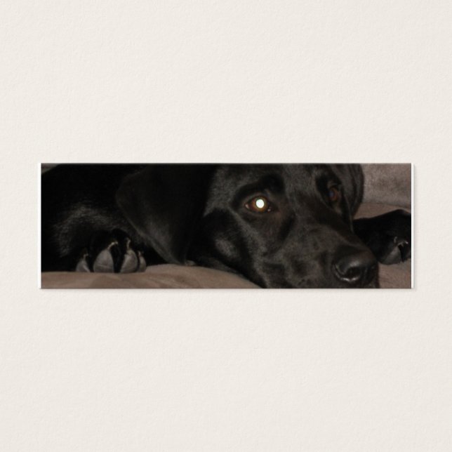 Signet de repérage Black Labrador (Devant)