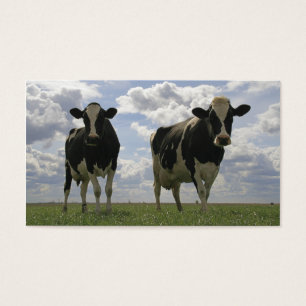 Signet frison de deux vaches