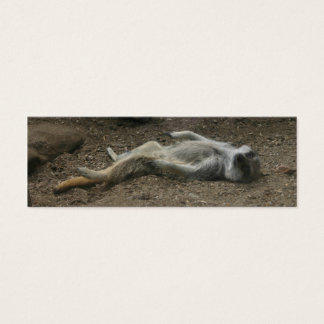 Signet Meerkat bronzer