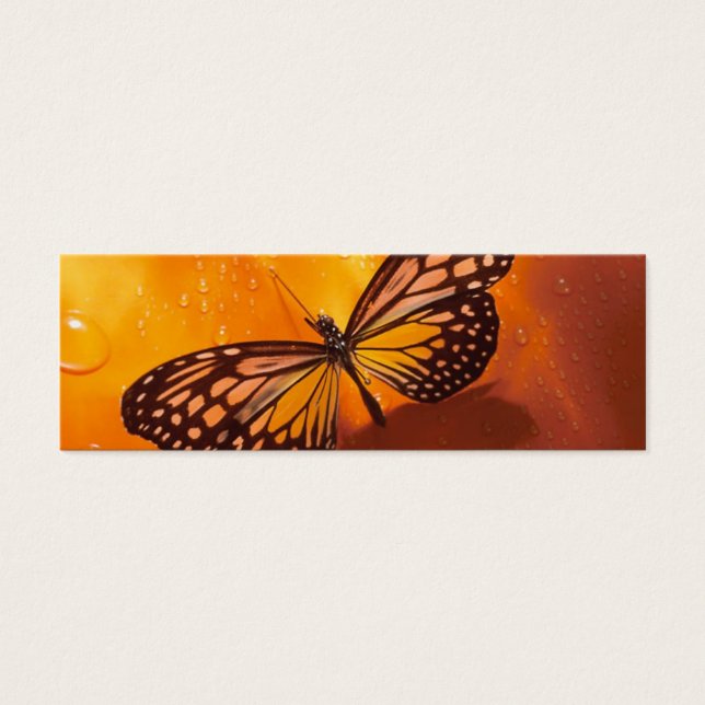 Signet papillon (Devant)
