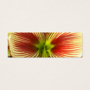 Signet papillon Amaryllis