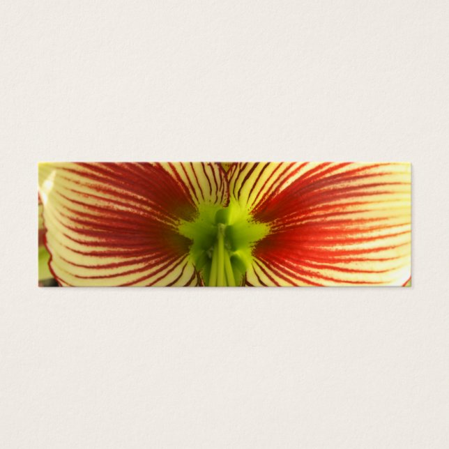 Signet papillon Amaryllis (Devant)