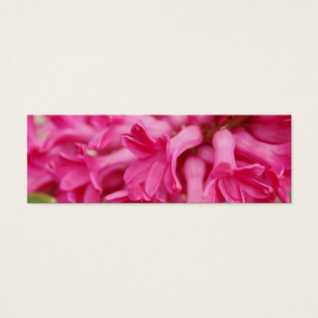 Signet rose Hyacinth (Devant)