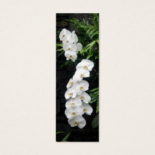 Signet tropical de fleurs