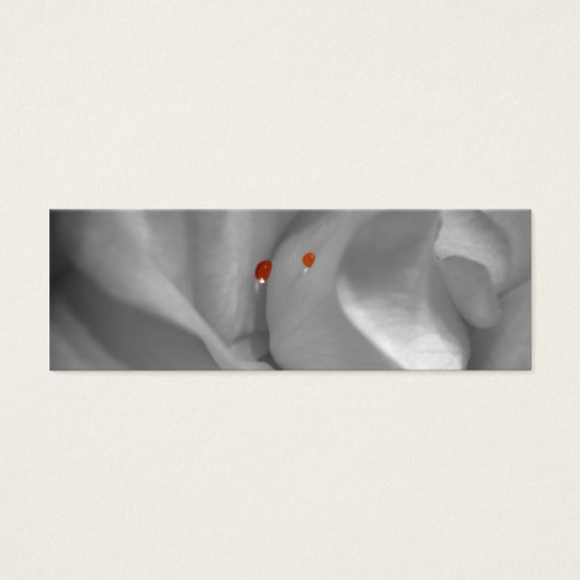 Signets d'aquarelle de l'Éolienne (Devant)