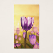 Signets de jubilé pourpre (Dos)