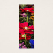 Signets de printemps Iridescente (Dos)