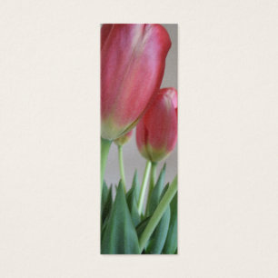 Signets de tulipes roses