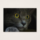 Signets d'intensité (Dos)