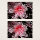 Signets intérieurs (Devant & derrière)