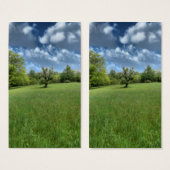 Signets verts des Appalaches (Devant & derrière)