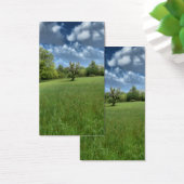 Signets verts des Appalaches (Bureau)