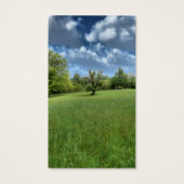 Signets verts des Appalaches (Dos)