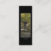 Signets WOLF PROTECTION \ Cartes de profil (Dos)