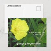 Signification de la carte postale Fleur Jaune (Devant / Derrière)