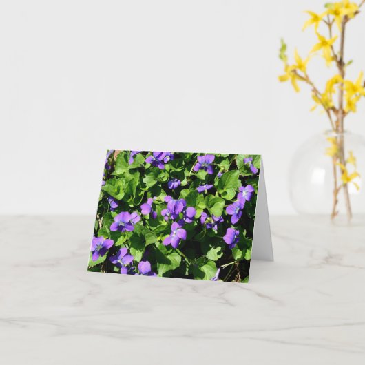 Signification des cartes de notes Violets (Fleur jaune)