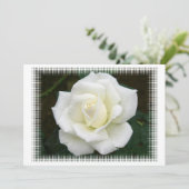 Significations Roses Invitation (Debout devant)