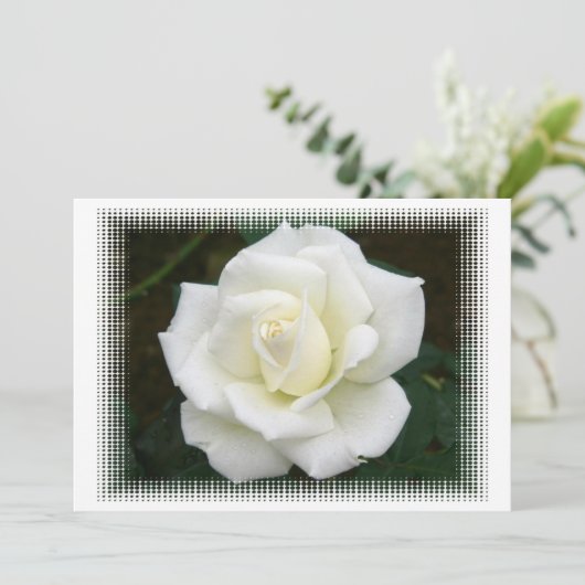 Significations Roses Invitation (Debout devant)