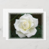 Significations Roses Invitation (Devant / Derrière)