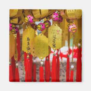 Sik Sik Yuen Wong Tai Sin Tempel Magneet