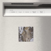 Sika Deer Doe and Young, Hokkaido, Japan Magneet (Insitu (Vaatwasser))