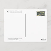 Sika Deer in Nara Park ポストカード Briefkaart (Achterkant)