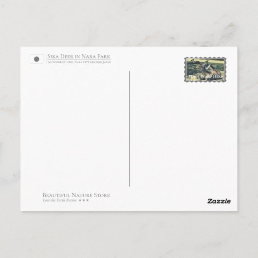 Sika Deer in Nara Park ポストカード Briefkaart (Achterkant)
