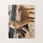 Sika Deer in Nara Park Legpuzzel (Verticaal)