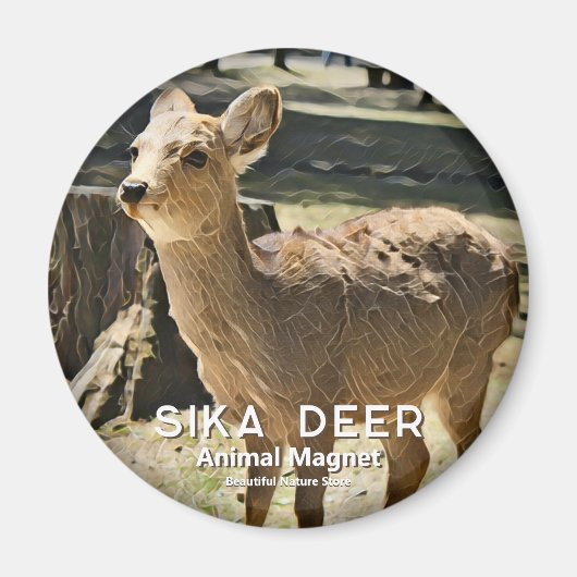 Sika Deer magneet (Voorkant)