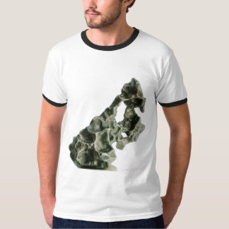 Sikhote-Alin-meteoriet T-shirt