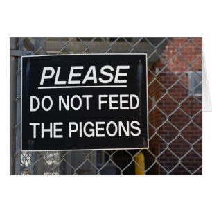 S'il vous plaît ne nourrissez pas les pigeons New
