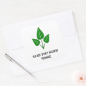 S'il vous plaît ne pas l'eau Stickers - Plantes (Enveloppe)