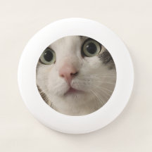 Silas de Cat Frisbee