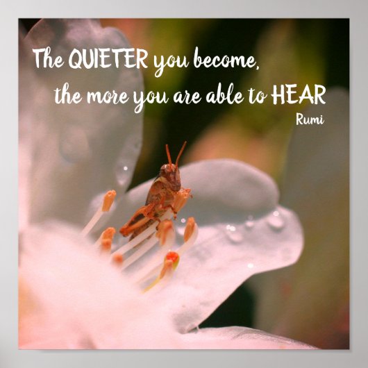 Silence Inspirerend Rumi Quote Poster (Voorkant)