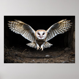 Silent Descent: een kerkuil tijdens de vlucht Poster