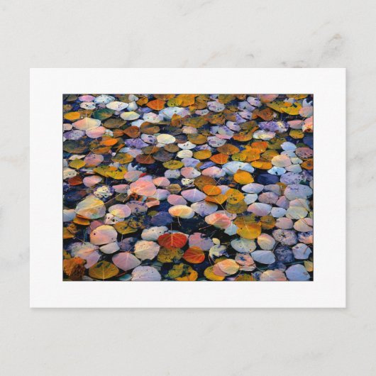 "Silent Drift" Briefkaart (Voorkant)