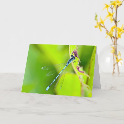 Silent merveilles carte de voeux vierge Dragonfly (Fleur jaune)