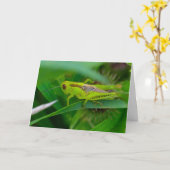 Silent se demande carte blanche Grasshopper (Fleur jaune)