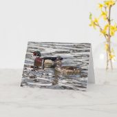 Silent se demande carte de voeux vierge Wood Ducks (Fleur jaune)