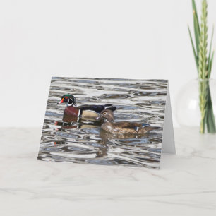 Silent se demande carte de voeux vierge Wood Ducks