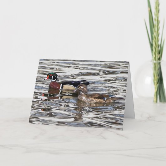 Silent se demande carte de voeux vierge Wood Ducks (Devant)