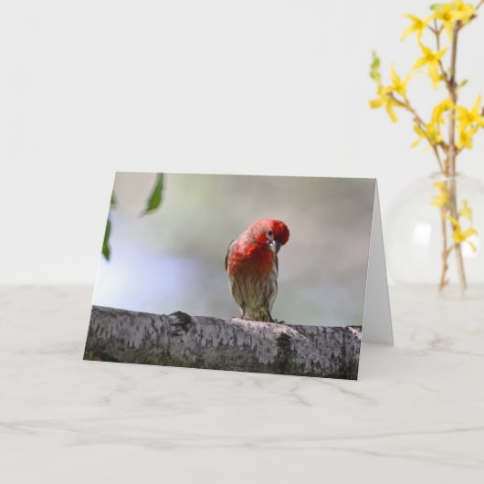 Silent se demande la carte blanche de voeux (Fleur jaune)