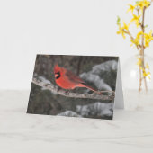 Silent se demande la carte blanche de voeux Male C (Fleur jaune)