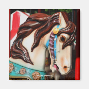 Silent Steed Carrousel Horse Photography Magnet Magneet
