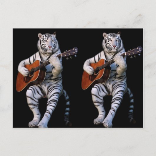 Silent Strings – Elegant Postcard Briefkaart (Voorkant)