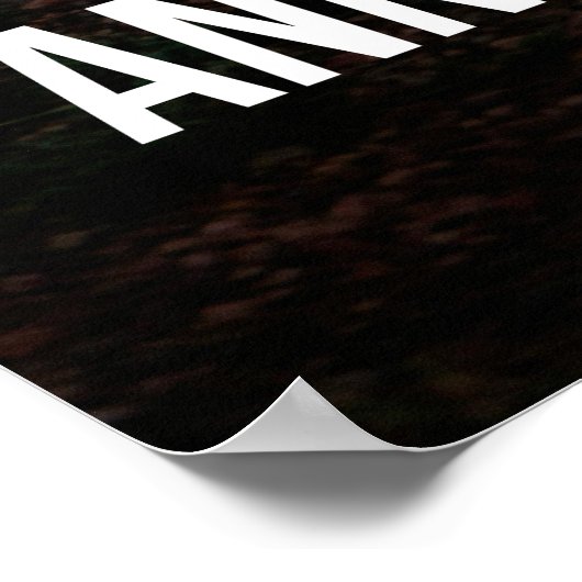 Silent Success Lion Quote Poster -Poster Design (Coin)