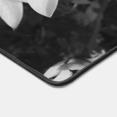 Silent Symmetry (Coin)