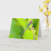 Silent Wonders Blank wenskaart Dragonfly Kaart (Gele Bloem)