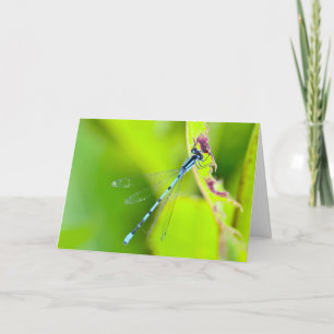 Silent Wonders Blank wenskaart Dragonfly Kaart